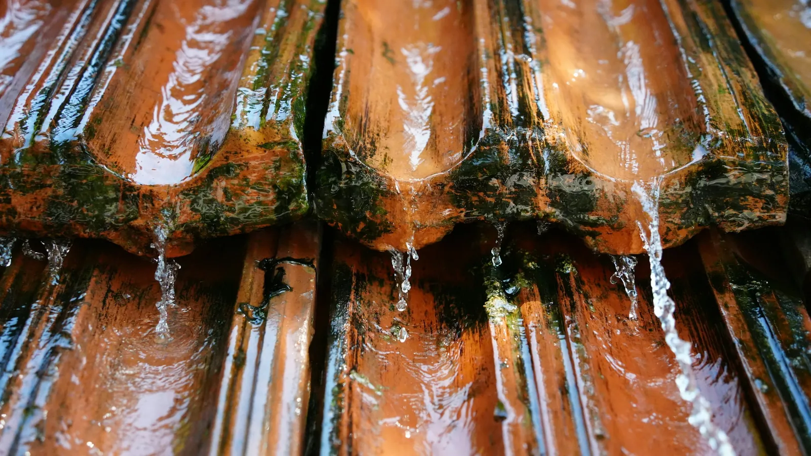 Eau de pluie qui ruisselle sur des tuiles